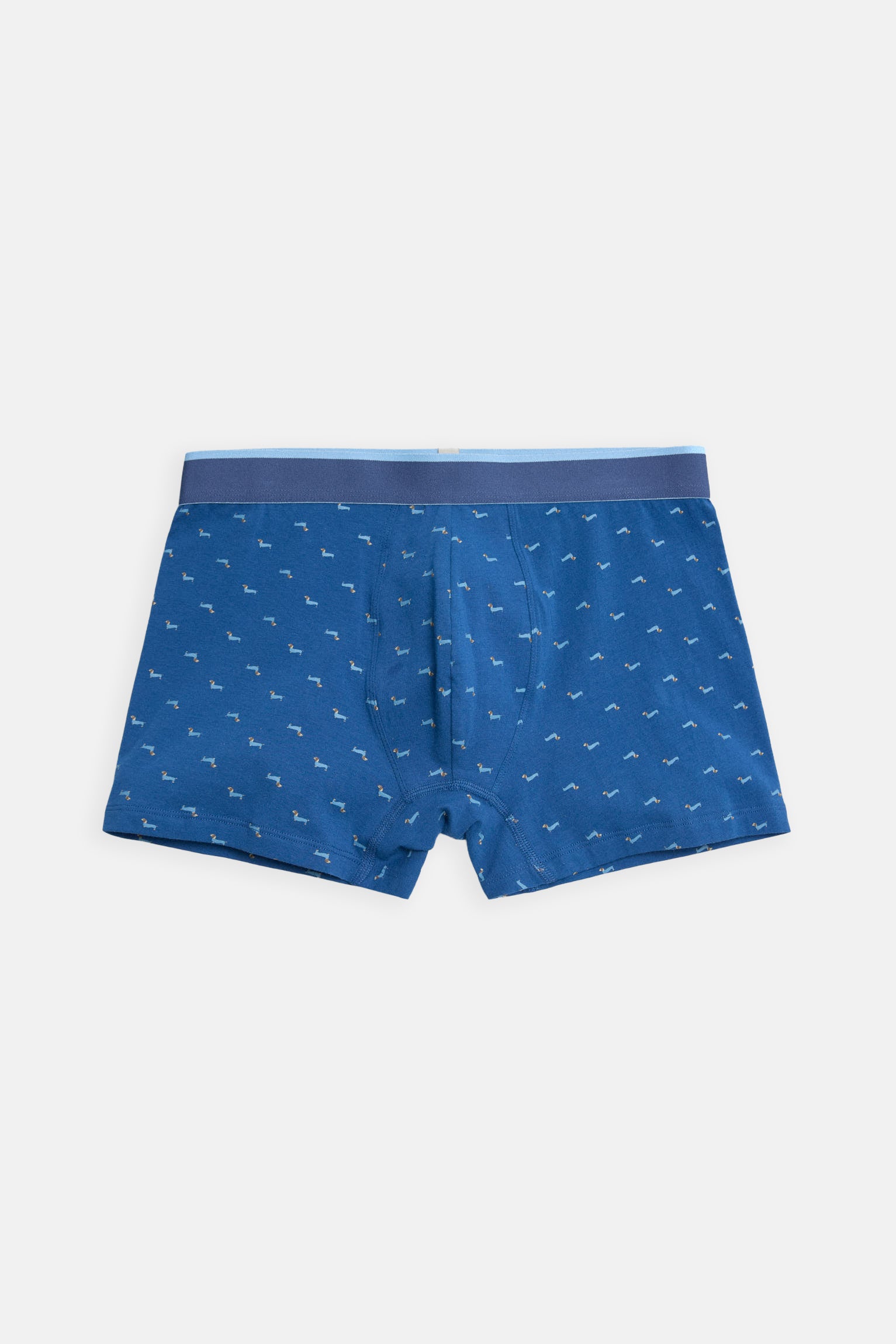 Pack boxer et chaussettes imprimé teckel