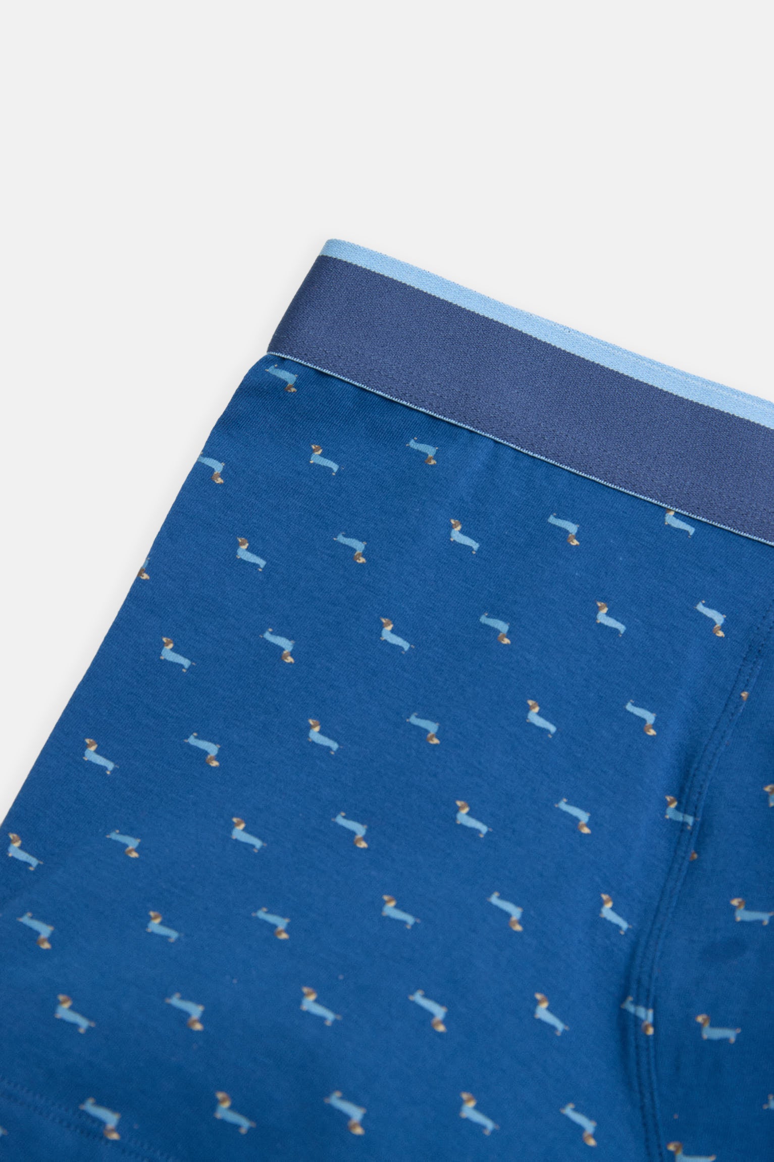 Pack boxer et chaussettes imprimé teckel