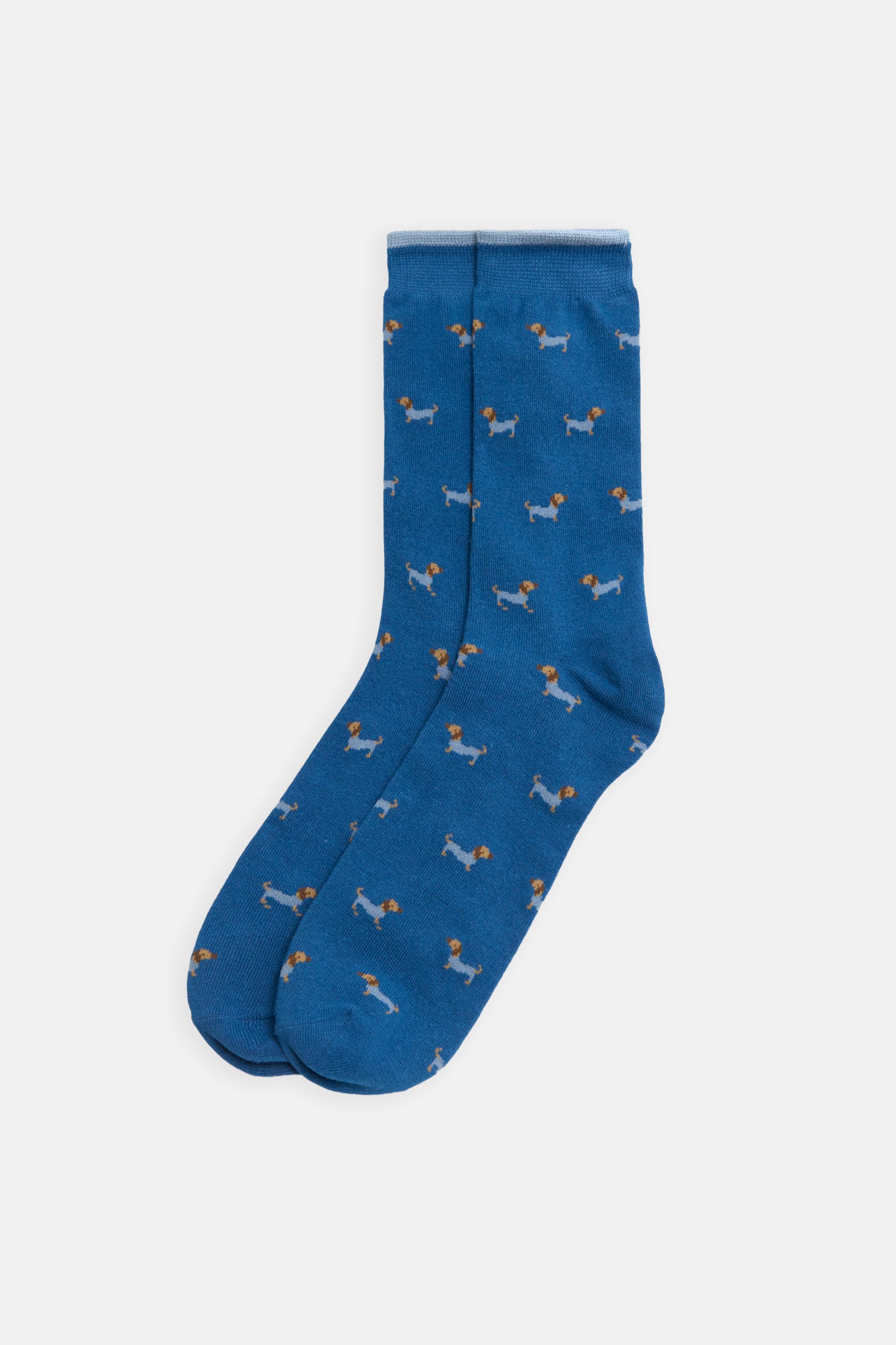 Pack boxer et chaussettes imprimé teckel