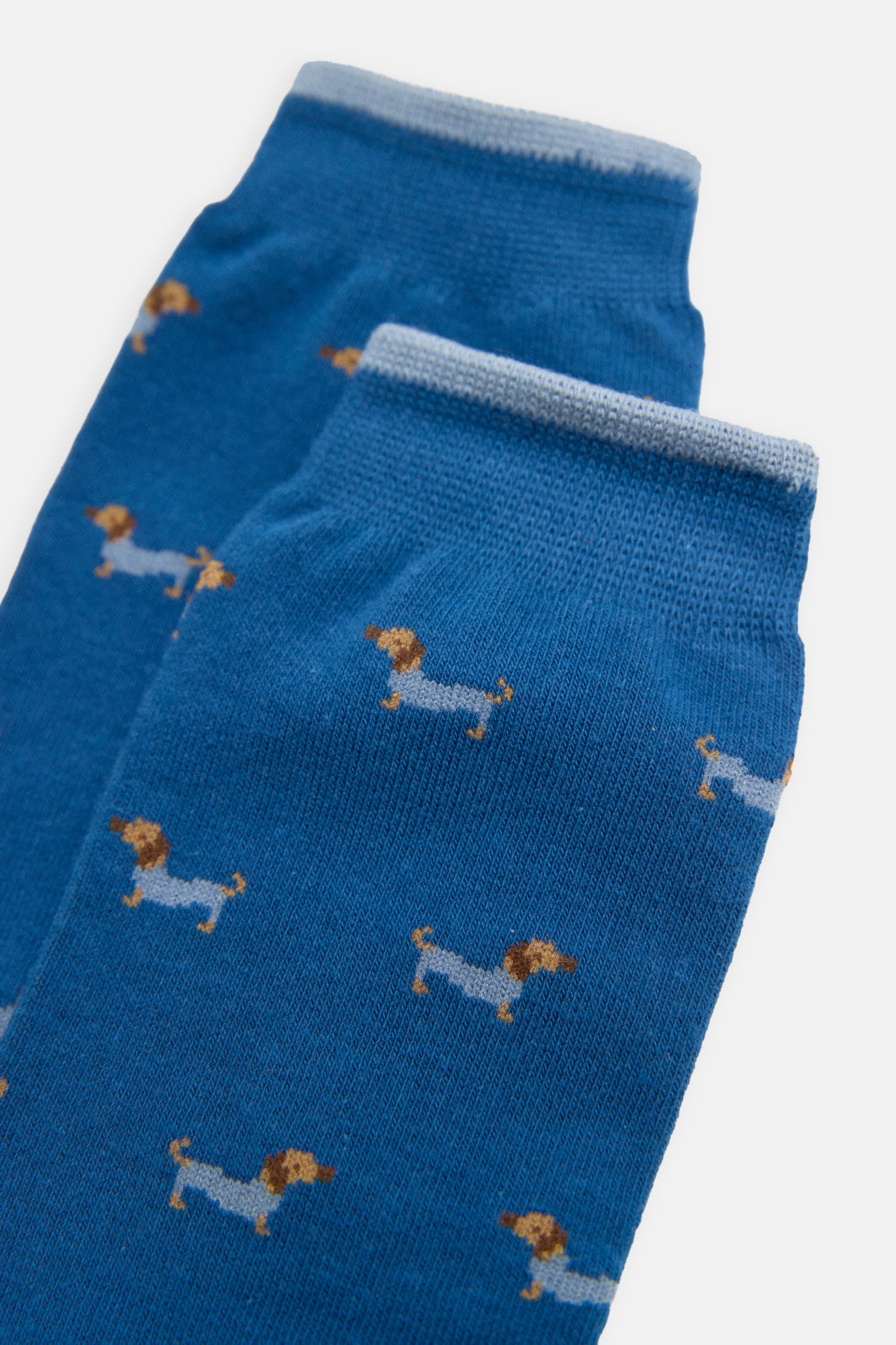 Pack boxer et chaussettes imprimé teckel