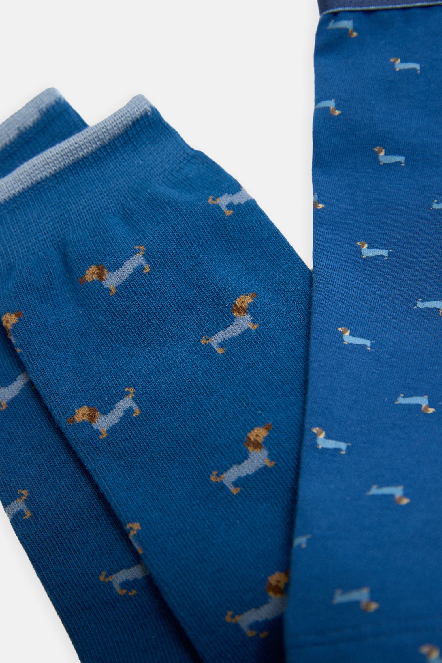 Pack boxer et chaussettes imprimé teckel