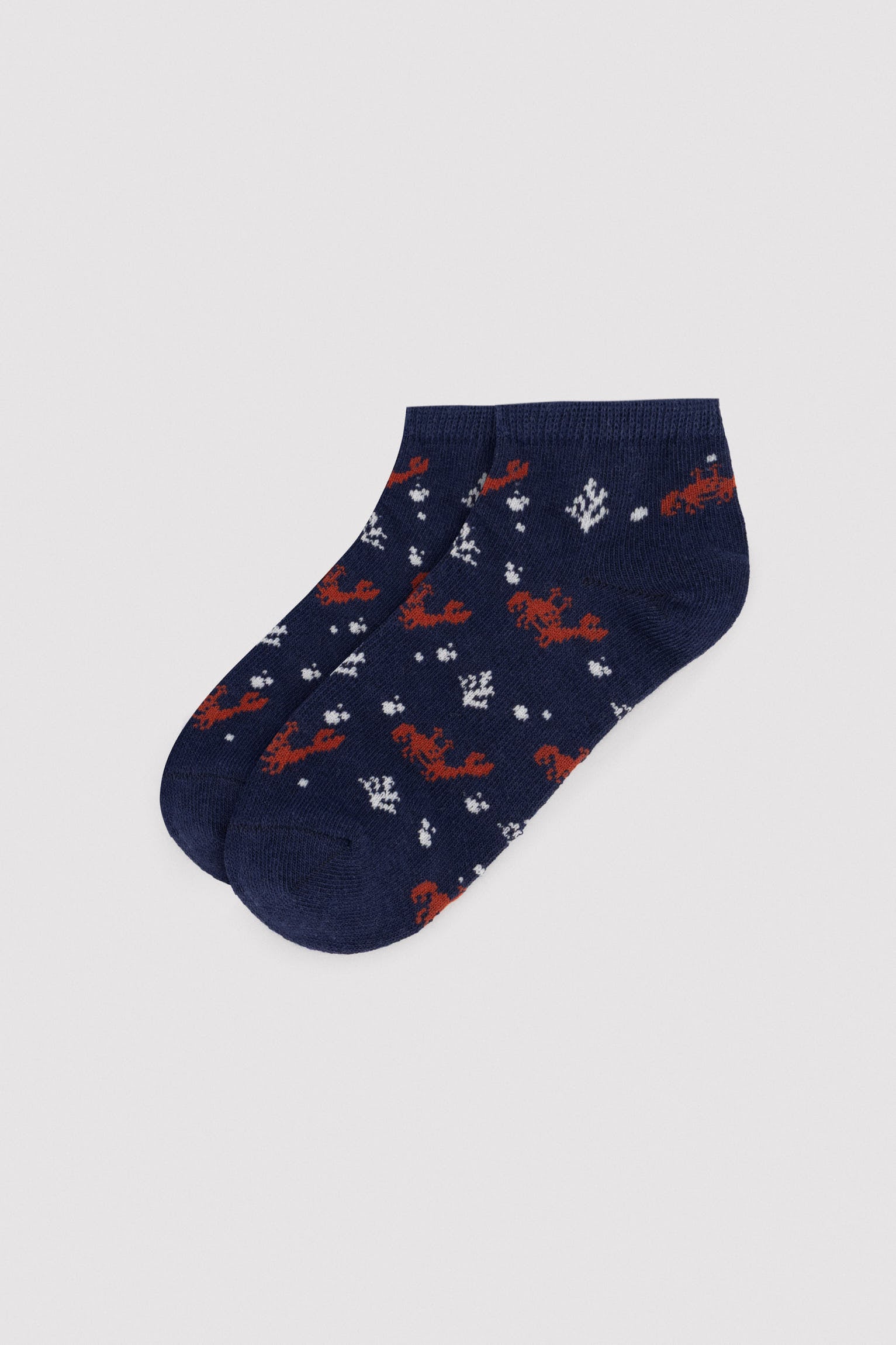 Lot de 3 chaussettes imprimées pour enfants. Apprenez à être sûr.