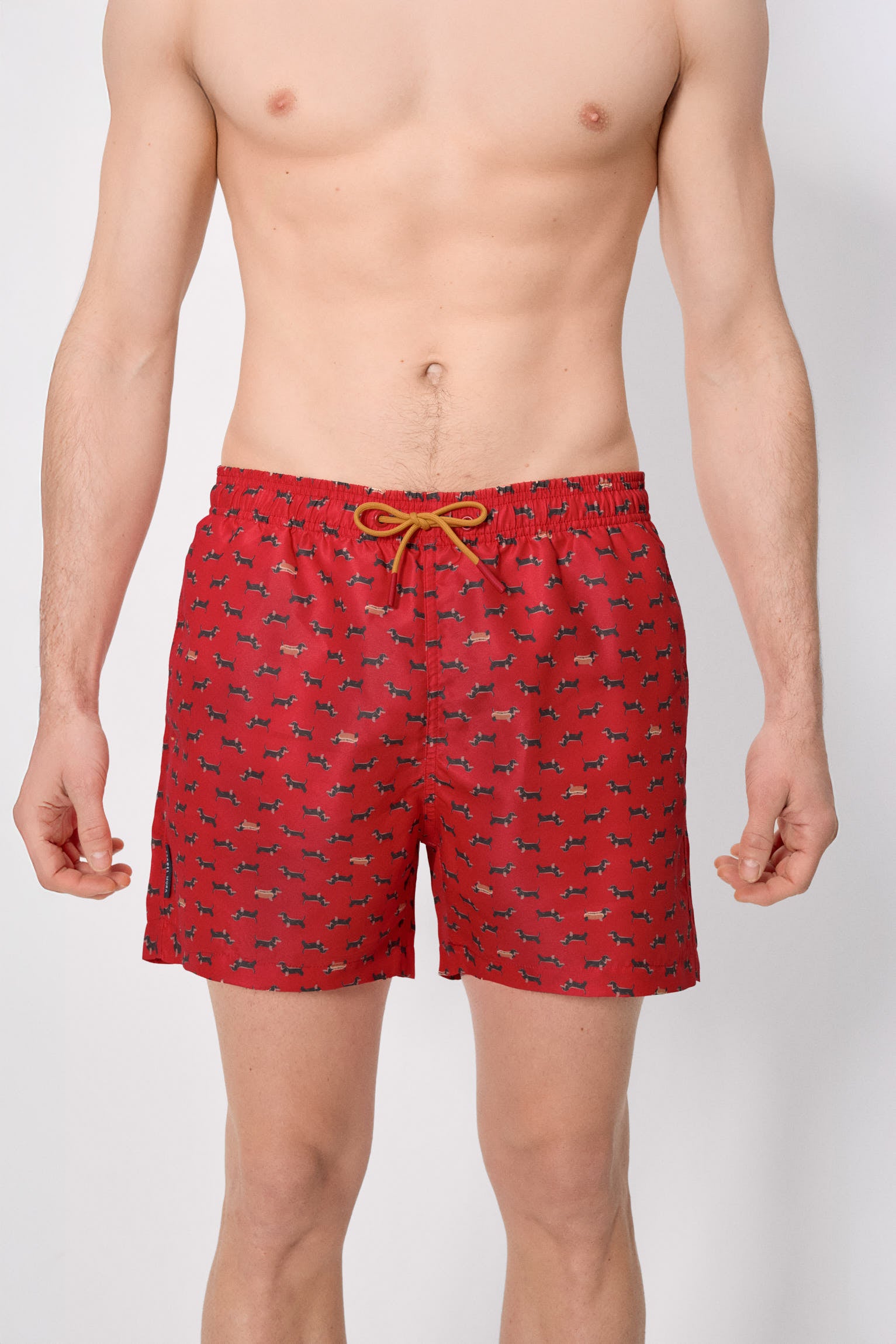 Bañador medio estampado perros salchichas rojo - Ysabel Mora