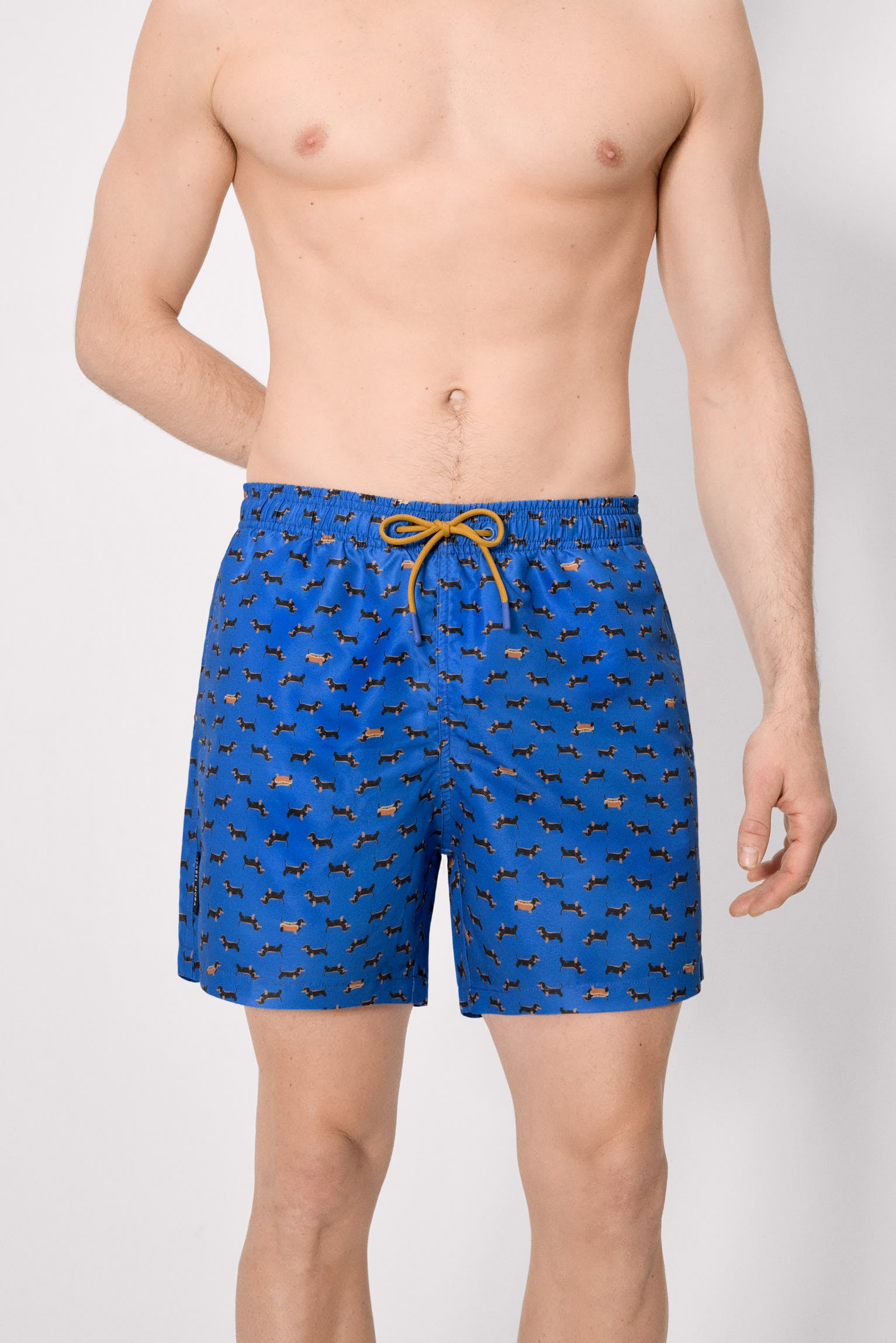 Maillot de bain long à imprimé teckel bleu