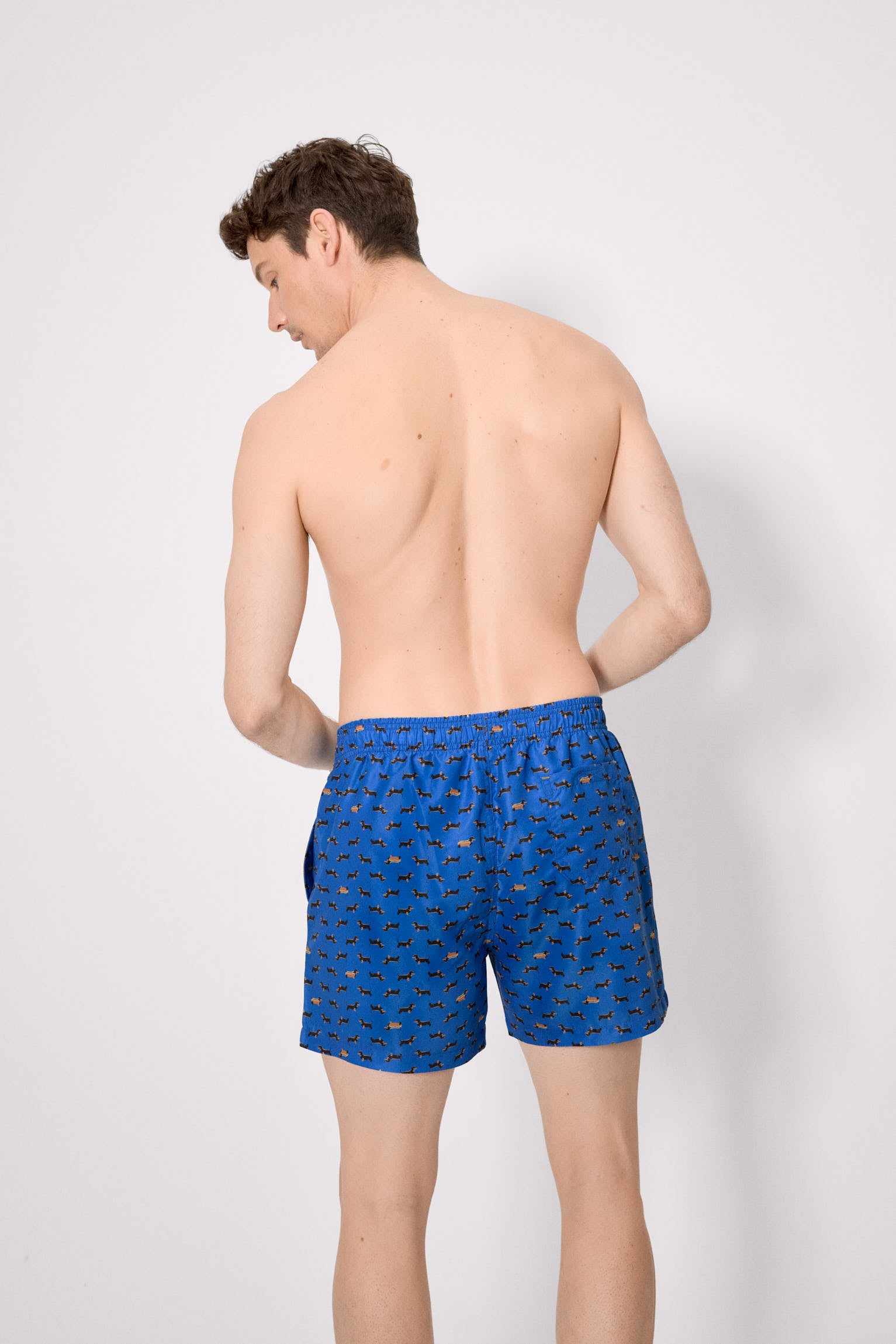 Maillot de bain long à imprimé teckel bleu