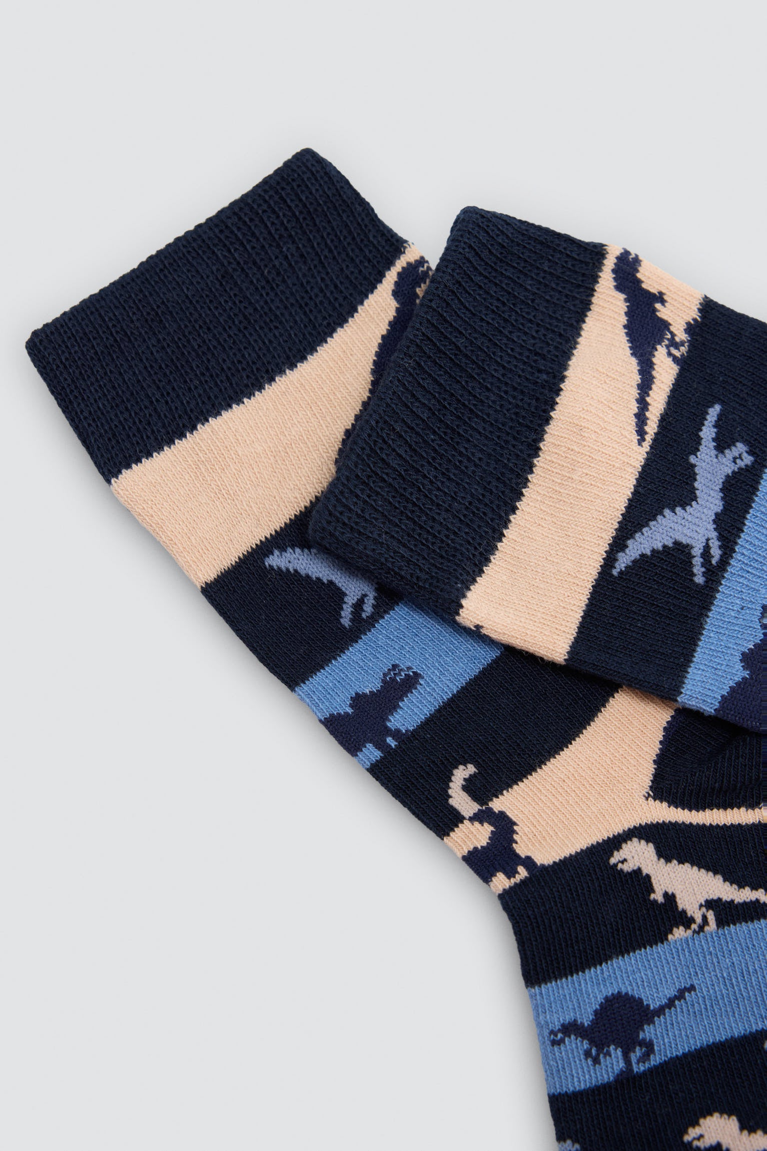 Lot de 4 chaussettes imprimé dinosaures