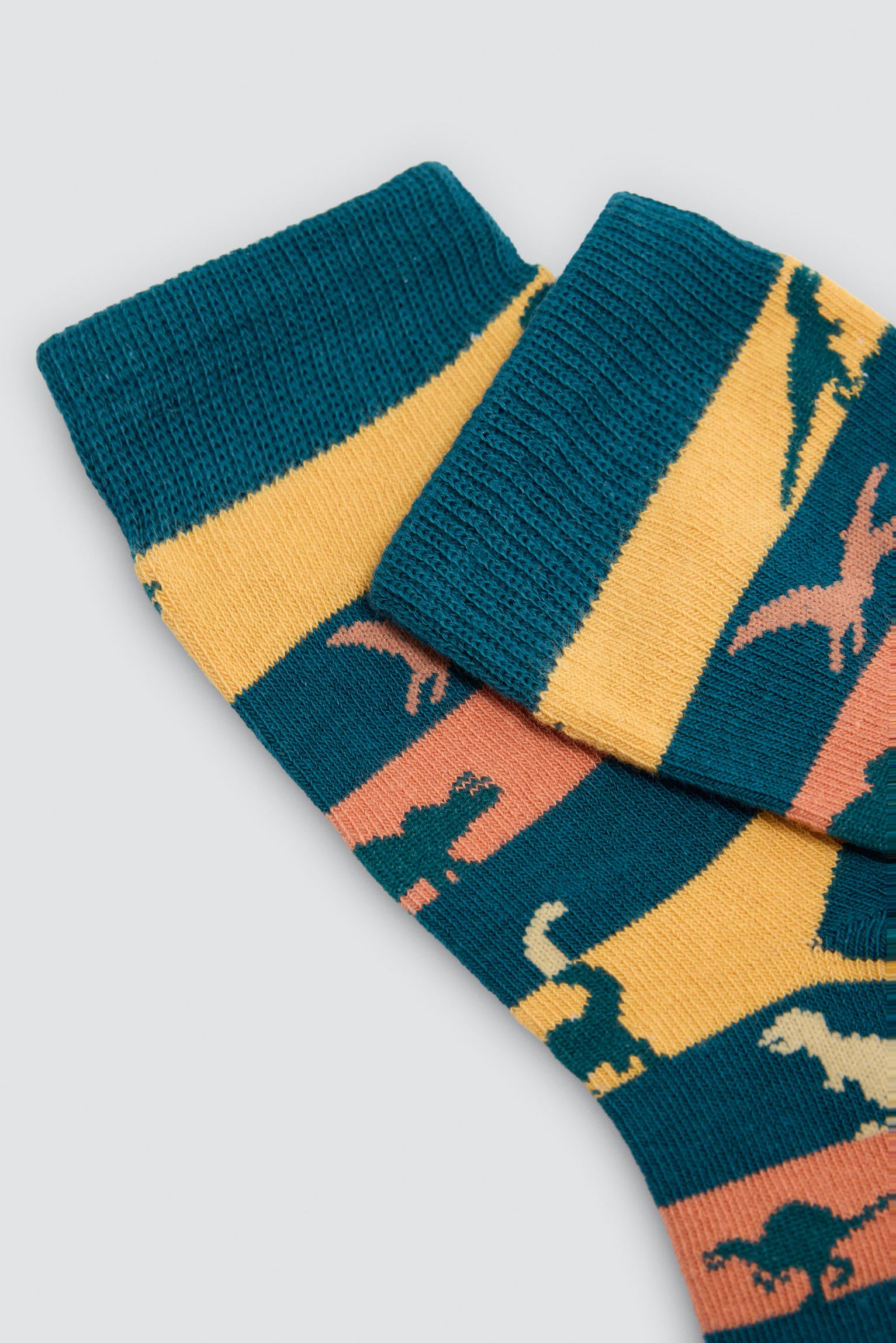 Lot de 4 chaussettes imprimé dinosaures