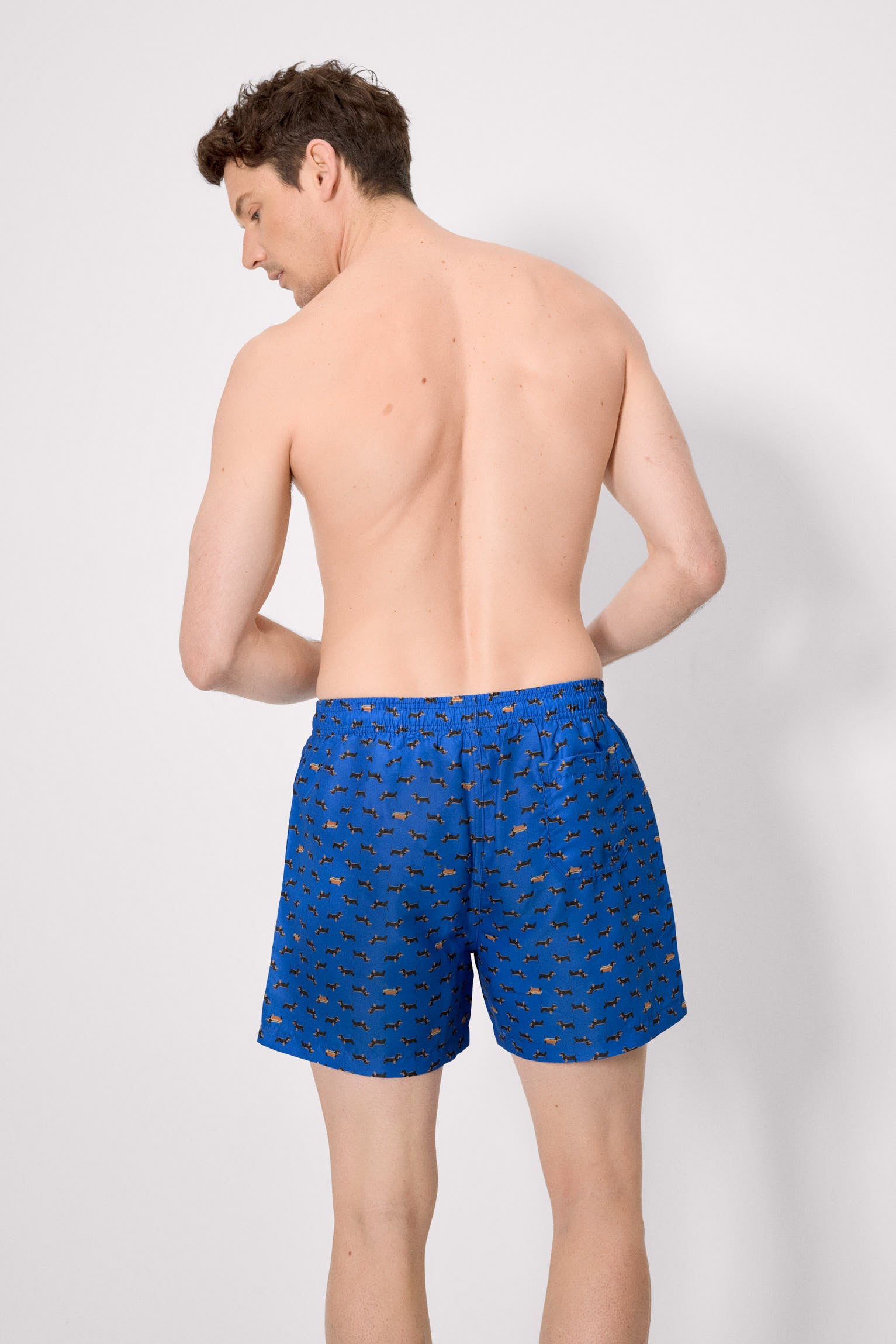 demi-maillot de bain imprimé teckel bleu