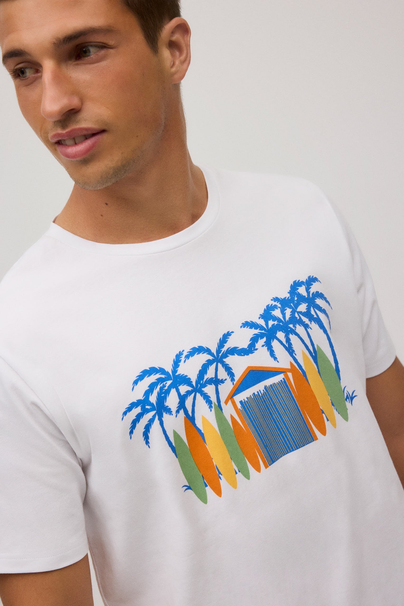 90514-camiseta-manga-corta-estampada-tablas-surf-029