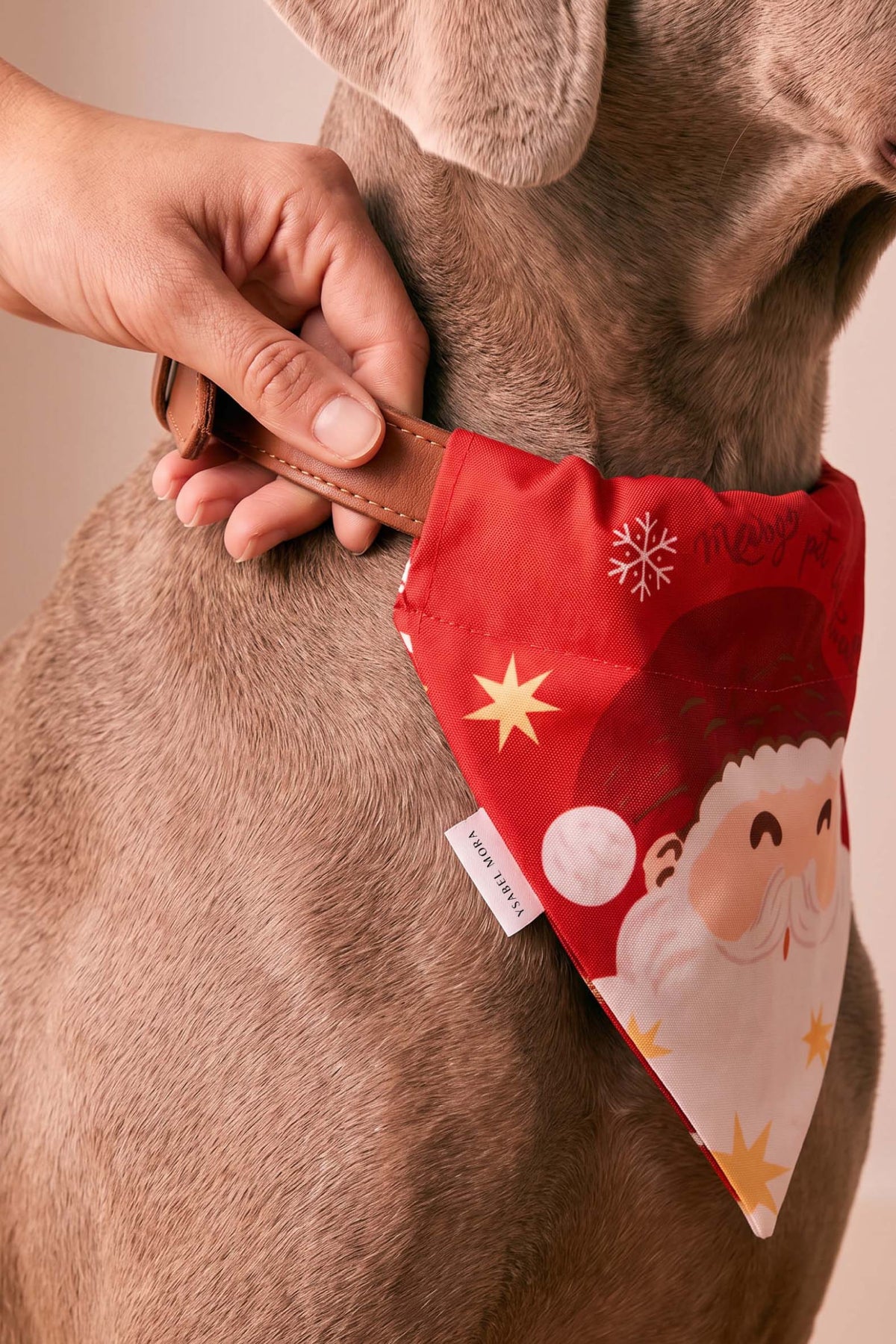 Bandana para mascotas navidad estampado Papá Noel