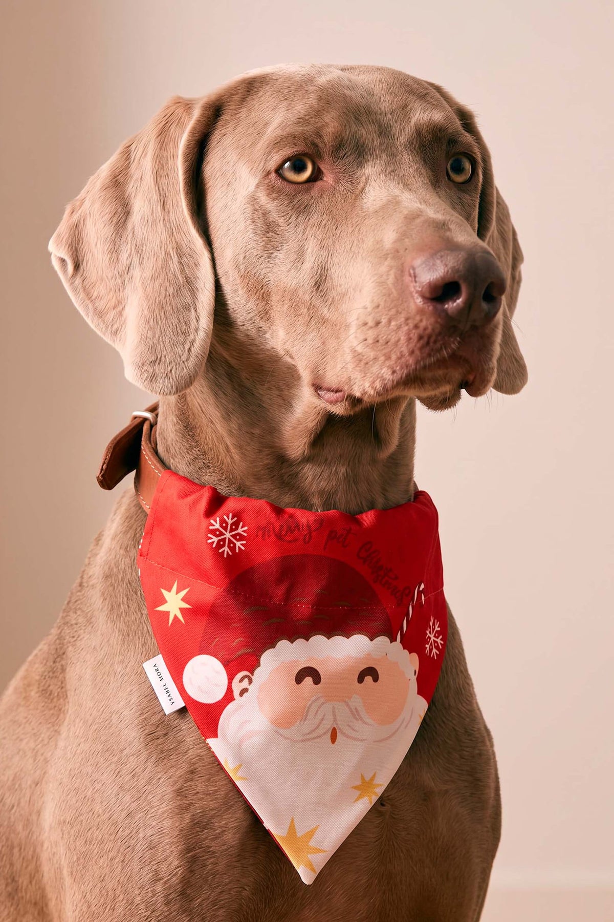 Bandana para mascotas navidad estampado Papá Noel
